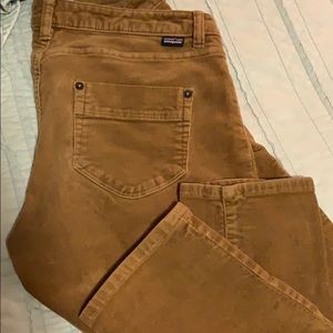 Patagonia Fitted Corduroy Pants